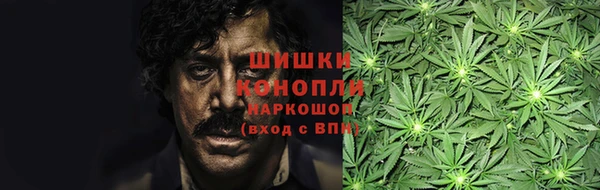 шишки Балабаново