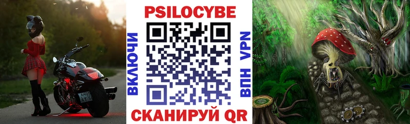 Псилоцибиновые грибы MAGIC MUSHROOMS  Фрязино 